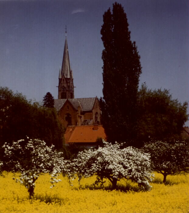 jb98kir1.jpg (65.291)