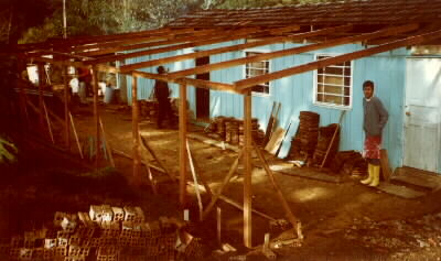 jb98reca.jpg (24.061)